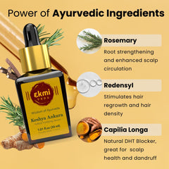 Ayurvedic herbs Brahmi and Bhringraj visualized for scalp health and follicles