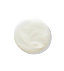 ELEVEN AUSTRALIA Smooth Me Now frizz-control-application shows smoothing action and moisture retention.