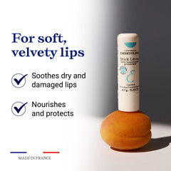 Embryolisse natural ingredients close-up featuring shea butter and nourishing oils