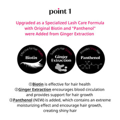 ETUDE Ginger extract ingredient close-up showing natural lash-care infusion