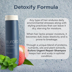 Eufora Urgent Repair Gentle Detox Shampoo action on scalp removing residue and impurities