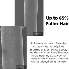 Eufora Volumizing Nourishing Shampoo root-lift view showing fuller roots.