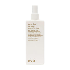 EVO Salty Dog salt spray bottle demonstrates textured beach-inspired hair with a matte finish.