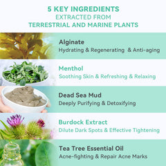 Fasplendor Tea Tree Alginate Mask jelly closeup highlights deep cleansing action.