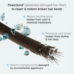 FEKKAI PowerBond Mist ingredients highlighting Panthenol and Prodew 500.