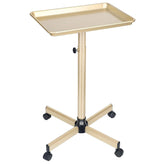 FWOD BIBTO salon tray champagne gold side view highlights sturdy metal frame