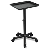 FWOD BIBTO salon tray adjustable-height for flexible styling reach.