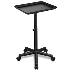FWOD BIBTO salon tray adjustable-height for flexible styling reach.