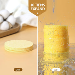 GAINWELL eco-friendly cellulose sponges depicted as biodegradable cleansing option.
