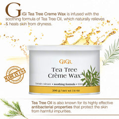 Gigi Tea Tree Oil infusion closeup highlighting calming wax experience
