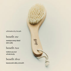 goop Beauty Dry Brush natural sisal fibers provide gentle exfoliation and glow.