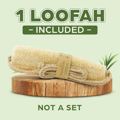Herbvian loofah gourd close-up highlights natural fibers for gentle cleansing