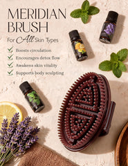 Homsoil Meridian Brush dual-use setup demonstrates versatile cleansing and exfoliation