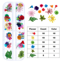 iFancer pressed flower variety provides delicate texture for resin crafts
