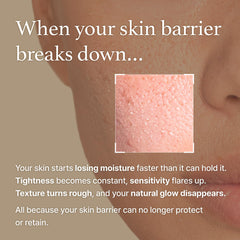 I'm From Rice Cream ceramide layer indicates a stronger skin barrier