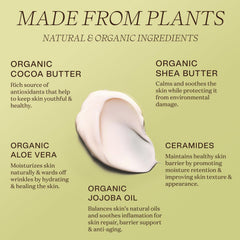 Ingreendients hand and body lotion with ceramides improves skin texture and resilience.