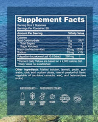Inner Glow Sol Defense gummies close-up showing passion-fruit flavor and sugar-free appeal.