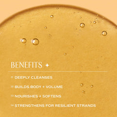 INNERSENSE quinoa-rice-extracts-shea-butter-shampoo-lather showing rich foam and refreshing cleanse.