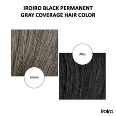 iroiro before and after roots coverage showing full gray concealment