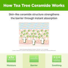 ISOI Tea Tree Ceramide formula jar emphasizing barrier support and moisture retention