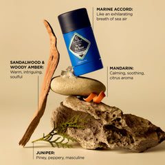Jack Black Big Sir fragrance notes with bergamot, mandarin, lemon for coastal freshness.