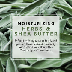 Jason Herbs and Shea Butter Body Wash with morning dew scent