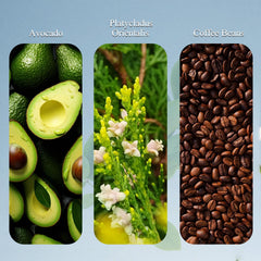 KBSBUBB Trichology Shampoo ingredients panel — biotin and arginine benefits