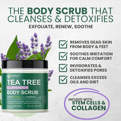 KESMEDIK Pure Tea Tree Scrub jar closeup emphasizes creamy texture with shea butter
