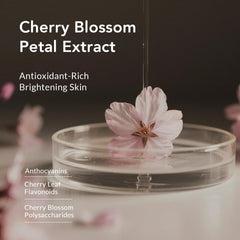 Kustie sakura fragrance layers image suggests long-lasting delicate perfume-like aroma.