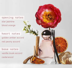 Kylie Cosmetics Cosmic bottle close-up highlights star jasmine and amber notes.
