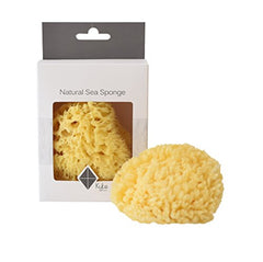 Kyte Baby Sea Sponge 4-5 inch size ready for gentle skincare routine.