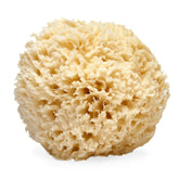 LATHER natural sea wool sponge 5-6 inch delivers eco-friendly gentle exfoliation