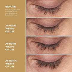 Close-up of Level Up lashes showing natural fullness and longer appearance.