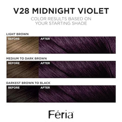 Feria Midnight Violet color swatches displaying depth and shimmer