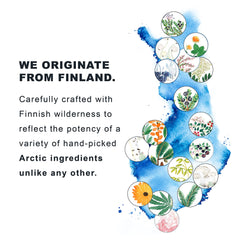 Lumene Nordic Bloom fast-absorbing cream showing quick hydration.