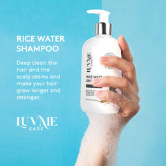 Rice Water Shampoo ingredients ginger and citrus offering nourishing care for scalp and hair.