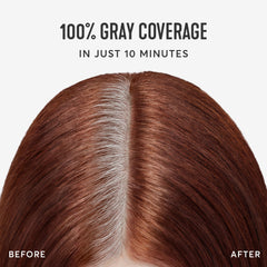 Madison Reed Root Perfection two-app kit demonstrates complete color system with two applications