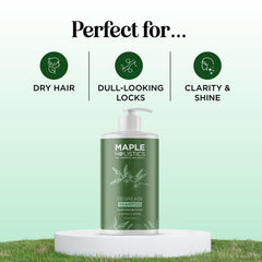Maple Holistics clarifying shampoo rosemary infusion highlights natural scent and scalp detox