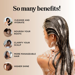 Maple Holistics Silk18 Shampoo dry-hair hydration for radiant, soft strands