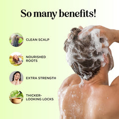 Maple Holistics tea tree oil drop highlights purifying scalp care.