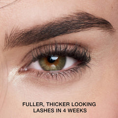 Maybelline Lash Serum packaging front view for easy daily routine