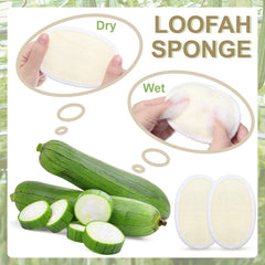 Meanplan loofah pad textured loofah closeup highlights firm yet gentle exfoliation.