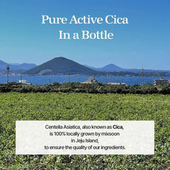 mixsoon Soondy essence ingredients visual—centella and Jeju extracts for soothing care.