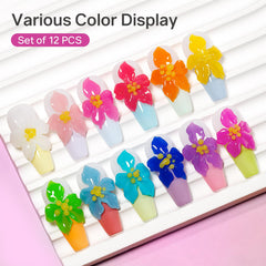 MIZHSE 12 colors 3D nail gel set color swatches showcase vibrant palette for design inspiration.