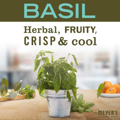 Mrs. Meyer's Basil Hand Lotion ingredients highlight nourishing shea butter