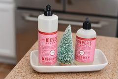 Mrs. Meyer's Clean Day peppermint pump for quick, easy hand cleansing.