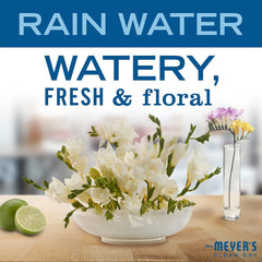 Mrs. Meyer's Clean Day Lemon Verbena pump highlights quick, fragrant handwashing.
