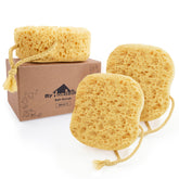 MyHomeBody bath sponge large square pack delivers dense bubbles for full-body washing.