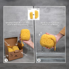 myhomebody bath sponge rich lather boosts cleansing with less gel.