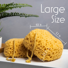 myhomebody body scrubber gentle scrub for exfoliation and smooth skin.